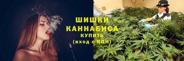 крисы Майский