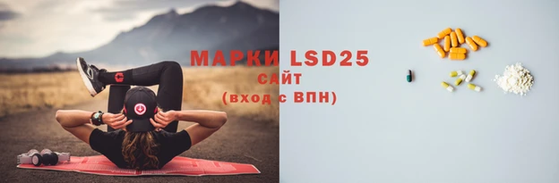 крисы Майский