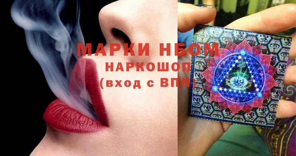 шишки Ачинск