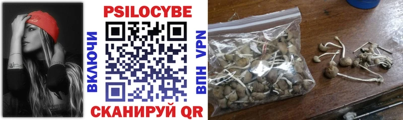 kraken рабочий сайт  Кочубеевское  Галлюциногенные грибы ЛСД 